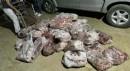 Aydın’da 1 ton kesilmiş domuz eti ele geçirildi