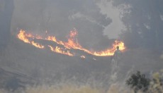 Aydın'daki orman yangınına müdahale sürüyor