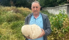 Bahçesinde 3,5 kiloluk mantar buldu