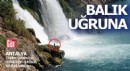 Balık uğruna hayatını hiçe saydı