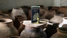 Bereket Mirası Karaosmanoğlu Zeytinyağı