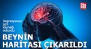 Beynin 3 boyutlu haritası çıkarıldı