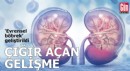 Bilim camiasında çığır açan gelişme