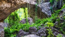 Bilim dünyasını şaşırtan keşif