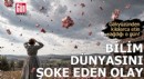 Bilim dünyasını şoke eden olay!