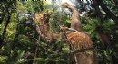 Bilim insanları 'iki parmaklı yeni dinozor türü' keşfetti