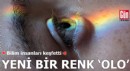 Bilim insanları keşfetti: Yeni bir renk 'olo'