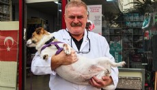 ‘Bilinçsiz ilaç tüketimi hayvanlarınızın canına mal olabilir’