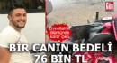 Bir canın bedeli 76 bin TL