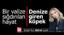 Bir valize sığdırılan hayat