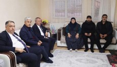 Böcek ailesine taziye