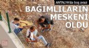 Boş arazi, uyuşturucu bağımlılarının meskeni oldu