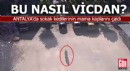 Bu nasıl vicdan? Sokak kedilerinin mama kaplarını çaldı