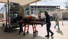 Budadığı ceviz ağacından düşüp yaralandı