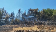 Burdur'da orman yangını