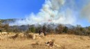 Burdur'da orman yangını