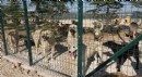 Burdur'da sahipsiz hayvanlara yeni yuva