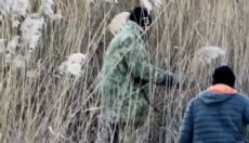 Burdur'da yasa dışı avcılık faaliyetine idari ceza