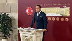 CHP'li Başarır: Zeytin ağaçlarının yerini değiştirmeyin