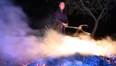 Çiftçinin kabusu geri döndü: Nöbetteler