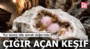 Çığır açan keşif: Toz tanesi bile servet değerinde!
