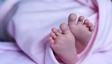 Çöpte bulunan bebek cesedi soruşturması sürüyor
