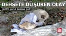 Dehşete düşüren olay: Çöpten çocuk kafatası çıktı!