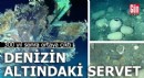 Denizin altındaki servet: 300 yıl sonra ortaya çıktı