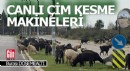 Döşemealtı'nın canlı çim kesme makineleri