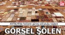 Döşemealtı'nın halı tarlaları görsel şölene dönüştü
