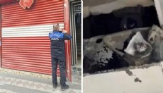 Düğün salonunda gizli kamera şoku