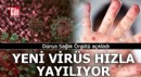 Dünya Sağlık Örgütü açıkladı: Virüs hızla yayılıyor