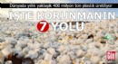 Dünyada yaklaşık 400 milyon ton plastik üretiliyor! İşte korunmanın 7 yolu