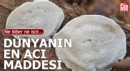 Dünyanın en acı maddesi bulundu