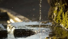 Dünyanın en eski suyunun tadı şaşırttı