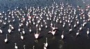 Eber Gölü'nde ziyaretçilere flamingo turu