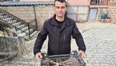 Eğirdir Gölü'nde insan kemikleri bulunan küpler ortaya çıktı