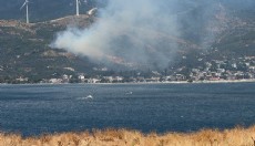 Erdek'te orman yangını