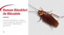 Evdeki Hamam Böceklerinden Nasıl Kurtulunur