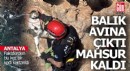 Falezlerden bu kez kedi kurtarıldı