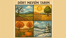 Fide Ekerken Nelere Dikkat Edilmeli?