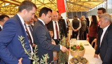 Gazipaşa Tarım Fuarı açıldı