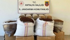 Gazipaşa'da kaçak tütün operasyonu