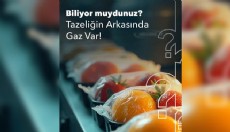 Gıda Ürünleri İçin En İyi Gazlar Hangileri?