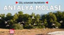 Göç yolundaki leyleklerin Antalya molası