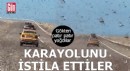 Gökten patır patır yağdılar: Karayolunu istila ettiler