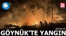 Göynük'teki orman yangını arı kovanlarına sıçradı