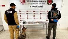 Gümrüklerde rekor; 33 ton 198 kilo uyuşturucu ele geçirildi