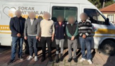 Hayvan dostu Kepez Belediyesi’nin çalışanlarına saldırı…