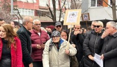 Hayvanseverlerden 'Matmazel' için basın açıklaması